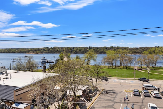 517 2nd St Unit 303, Hudson, WI 54016 - water view