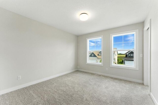12800 Stutz Ct NE, Blaine, MN 55449 - photo 29