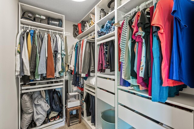 2895 Thunder Bay Ct, Little Canada, MN 55117 - view of walk in closet