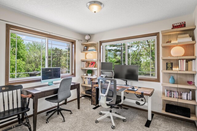 2895 Thunder Bay Ct, Little Canada, MN 55117 - home office featuring plenty of natural light, carpet, a textured ceiling, and baseboards