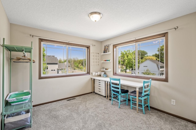 2895 Thunder Bay Ct, Little Canada, MN 55117 - carpeted office space featuring healthy amount of natural light, baseboards, and a textured ceiling