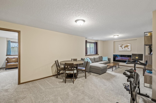 2895 Thunder Bay Ct, Little Canada, MN 55117 - carpeted living area featuring a textured ceiling and baseboards