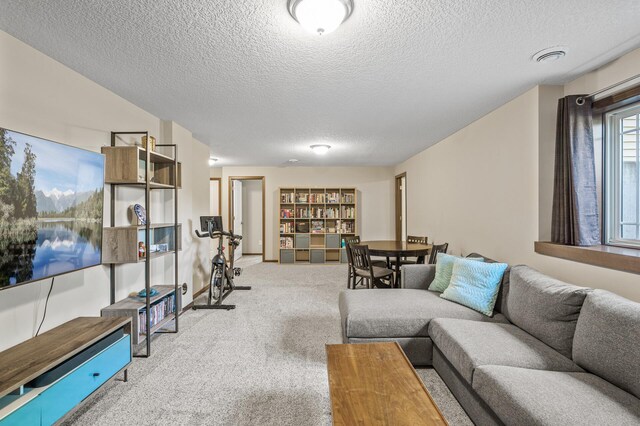 2895 Thunder Bay Ct, Little Canada, MN 55117 - living area with a textured ceiling and carpet flooring