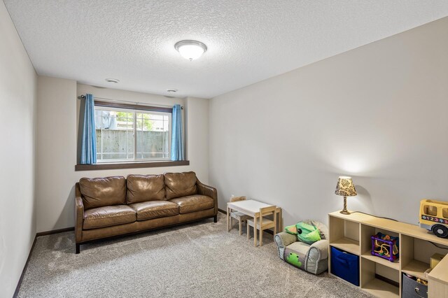 2895 Thunder Bay Ct, Little Canada, MN 55117 - living room featuring carpet and a textured ceiling