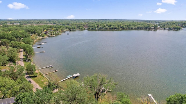 2895 Thunder Bay Ct, Little Canada, MN 55117 - drone / aerial view of a nearby body of water and a forest