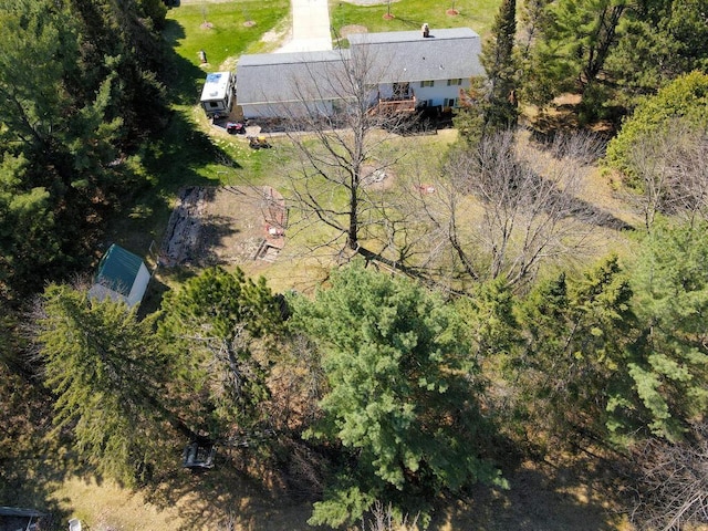 bird's eye view