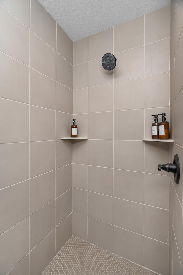 1581 Philipp Way, Shakopee, MN 55379 - full bathroom featuring a tile shower and a textured ceiling