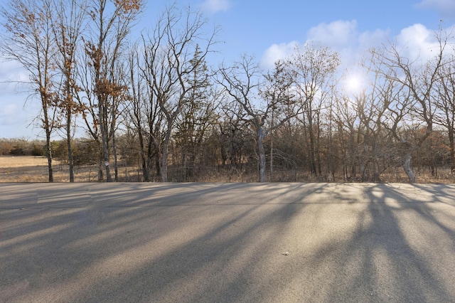 view of asphalt road