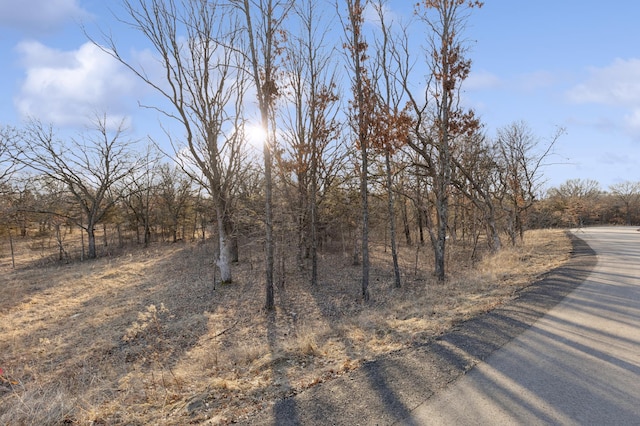 view of asphalt road