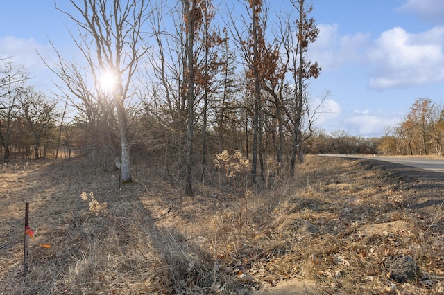 view of local wilderness