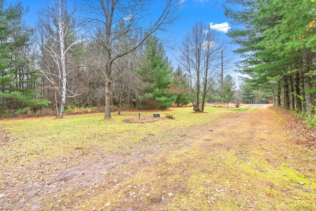 23245 County Rd W, Grantsburg, WI 54840 - view of yard
