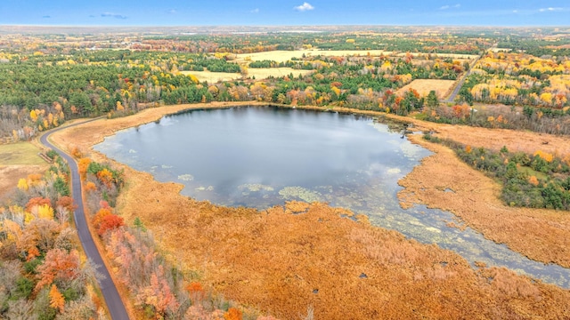 23245 County Rd W, Grantsburg, WI 54840 - bird's eye view of a large body of water and a heavily wooded area
