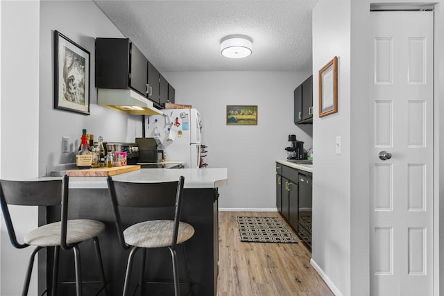 kitchen with dark cabinetry, freestanding refrigerator, under cabinet range hood, and light countertops