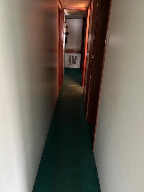 10010 Lake Rd, Watab Twp, MN 56367 - corridor with dark colored carpet