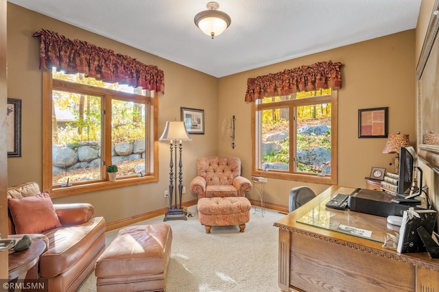 carpeted office space featuring baseboards and plenty of natural light