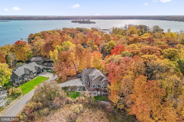 bird's eye view with a view of trees and a water view