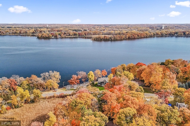 aerial view with a water view and a view of trees