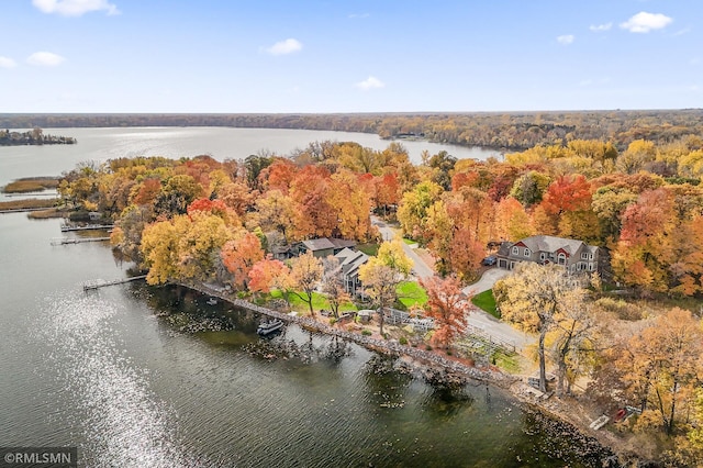 aerial view featuring a water view and a view of trees