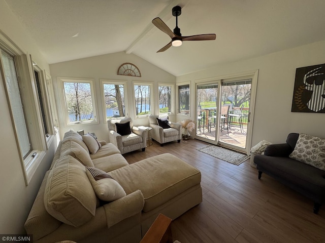 living area with lofted ceiling with beams, a ceiling fan, a healthy amount of sunlight, and wood finished floors