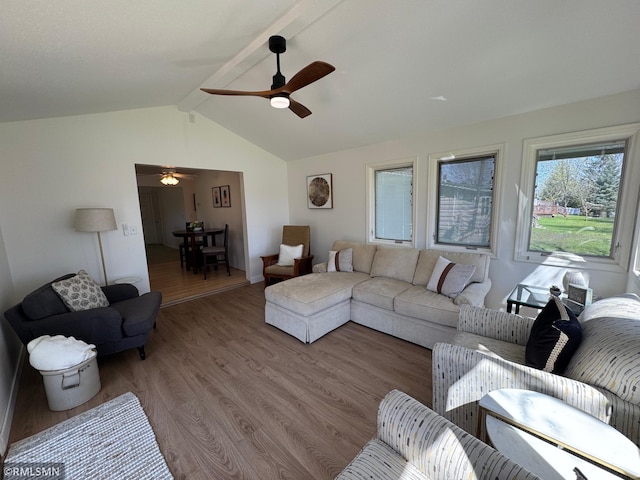 living room featuring a ceiling fan, light wood-style floors, and lofted ceiling with beams