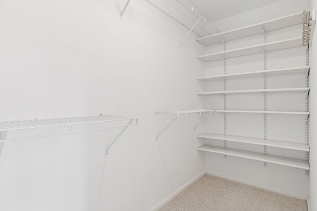 spacious closet with carpet floors