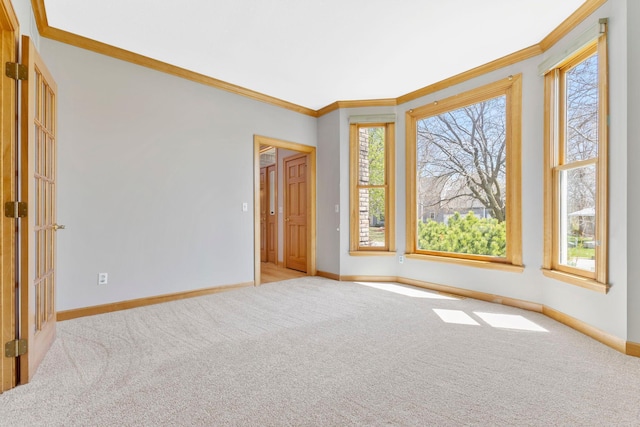 3088 Canyon Rd, Chaska, MN 55318 - empty room with carpet floors, ornamental molding, and baseboards