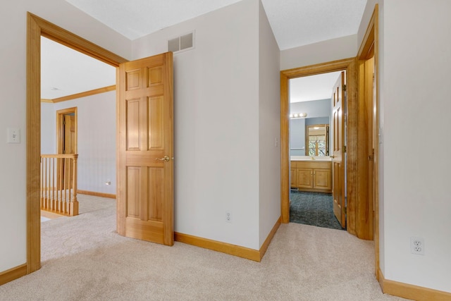 3088 Canyon Rd, Chaska, MN 55318 - interior space featuring baseboards, visible vents, and carpet
