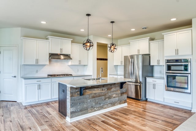 15637 Eddy Creek Way, Apple Valley, MN 55124 - kitchen with appliances with stainless steel finishes, a sink, under cabinet range hood, white cabinetry, and light wood-style floors