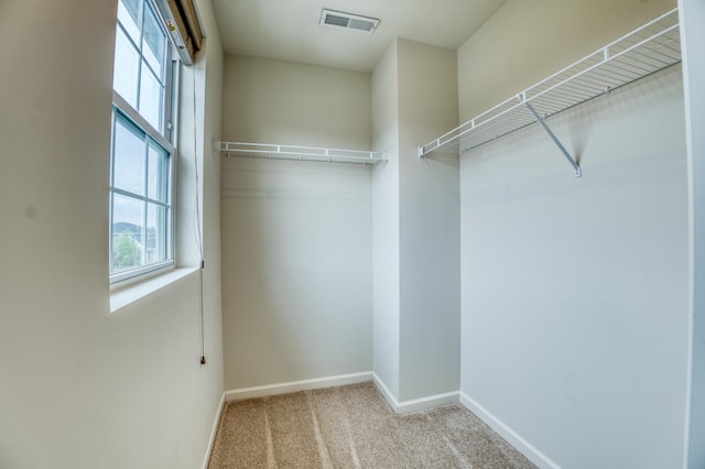 15637 Eddy Creek Way, Apple Valley, MN 55124 - walk in closet with carpet floors