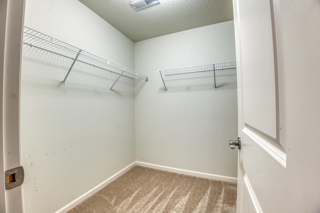 15637 Eddy Creek Way, Apple Valley, MN 55124 - walk in closet with carpet floors