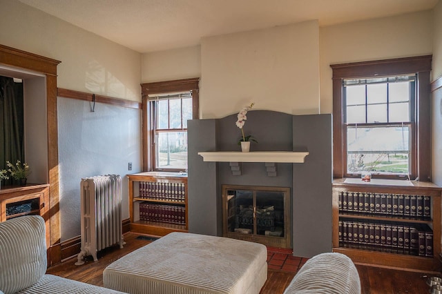 560 7th St, Red Wing, MN 55066 - living area with a glass covered fireplace and radiator heating unit