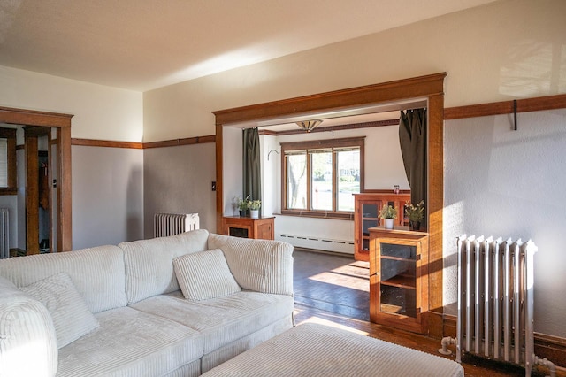 560 7th St, Red Wing, MN 55066 - living room with radiator heating unit, a baseboard radiator, and wood finished floors