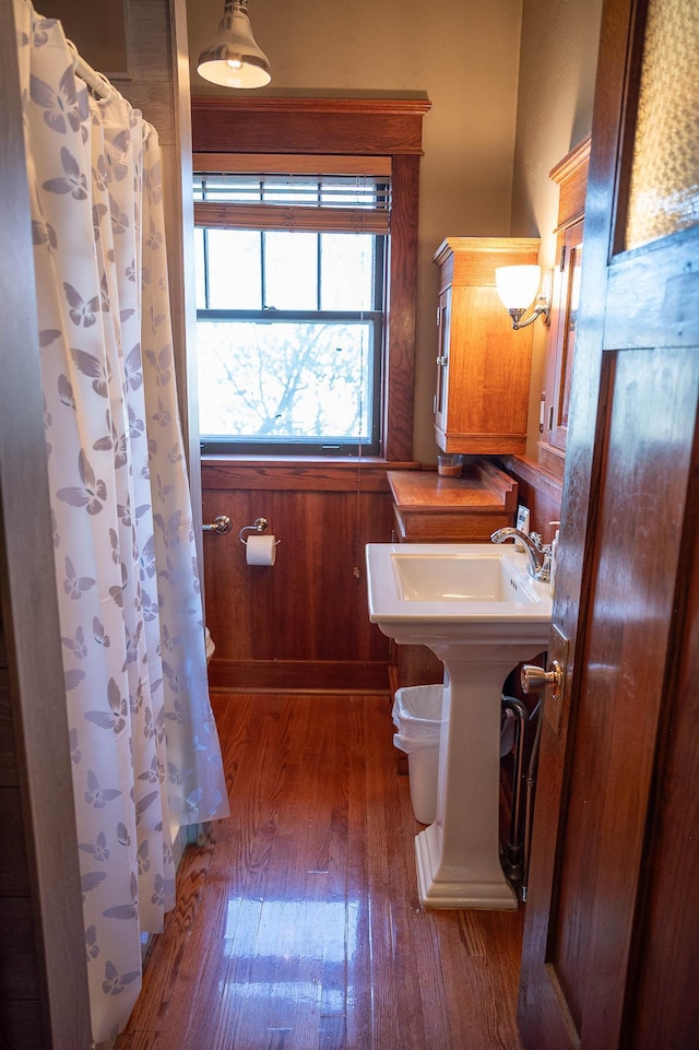 560 7th St, Red Wing, MN 55066 - full bathroom featuring toilet, hardwood / wood-style floors, a sink, and a shower with shower curtain