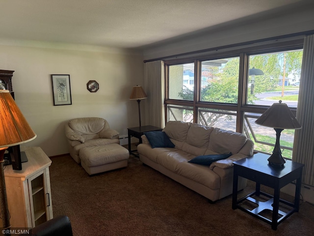 living room featuring carpet floors and a baseboard radiator