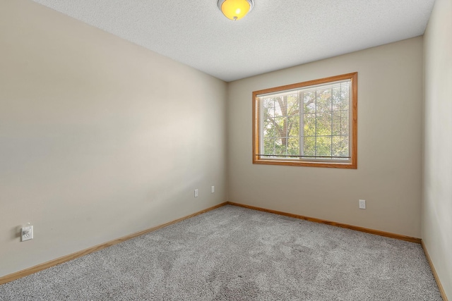 10773 Tamarack Cir NW, Coon Rapids, MN 55433 - unfurnished room with carpet, baseboards, and a textured ceiling