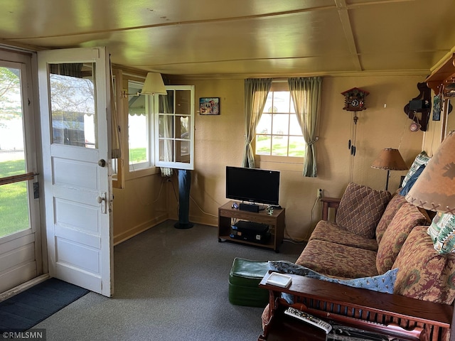 1219 Shore Dr, Luck, WI 54853 - view of carpeted living room