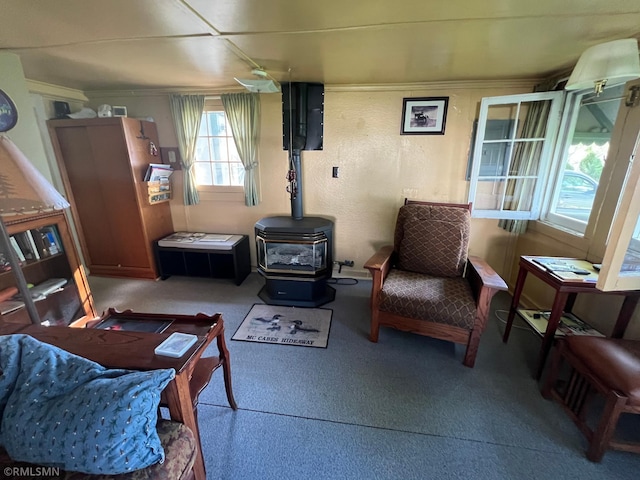 1219 Shore Dr, Luck, WI 54853 - living area featuring a wood stove