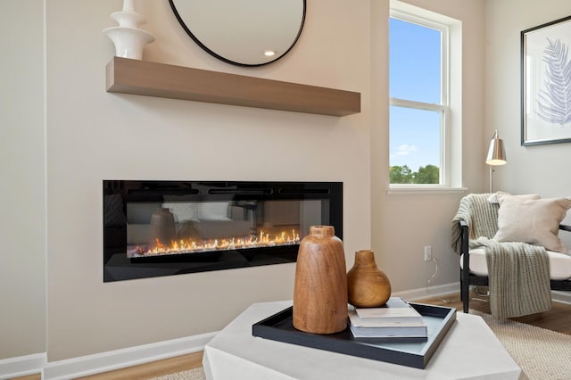 6758 Wildflower Way, Minnetrista, MN 55331 - detailed view of a glass covered fireplace, baseboards, and wood finished floors