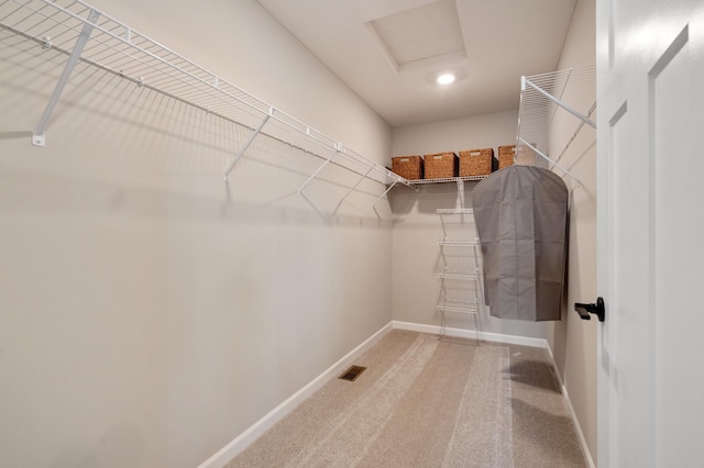 6758 Wildflower Way, Minnetrista, MN 55331 - spacious closet with carpet flooring and attic access