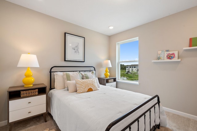 6758 Wildflower Way, Minnetrista, MN 55331 - bedroom featuring carpet flooring, baseboards, and recessed lighting