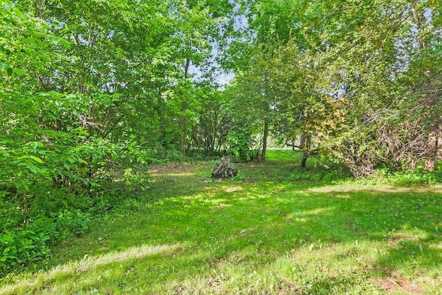 204 10th Ave N, Cold Spring, MN 56320 - view of yard