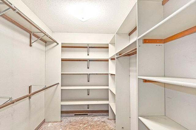 204 10th Ave N, Cold Spring, MN 56320 - view of walk in closet