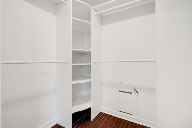 spacious closet featuring dark wood-style floors