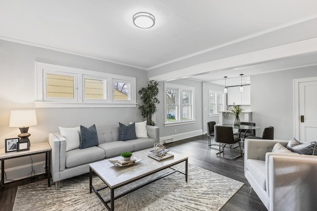 living area featuring crown molding, dark wood-style flooring, baseboards, and a healthy amount of sunlight