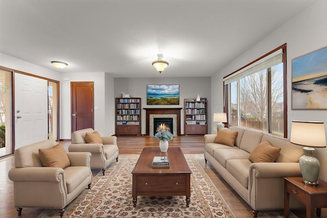 living area featuring a warm lit fireplace and light wood finished floors