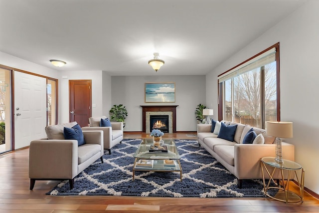 living area featuring a premium fireplace, baseboards, and wood finished floors