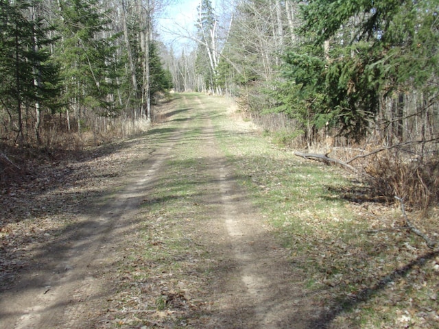 TBD Goshawk St, Mcgregor, MN 55760