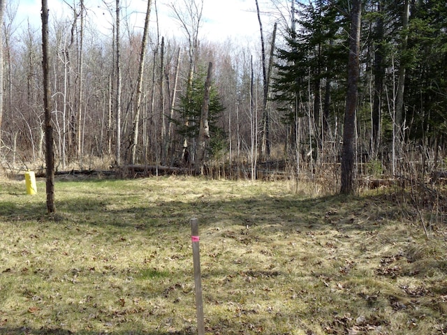 TBD Goshawk St, Mcgregor, MN 55760
