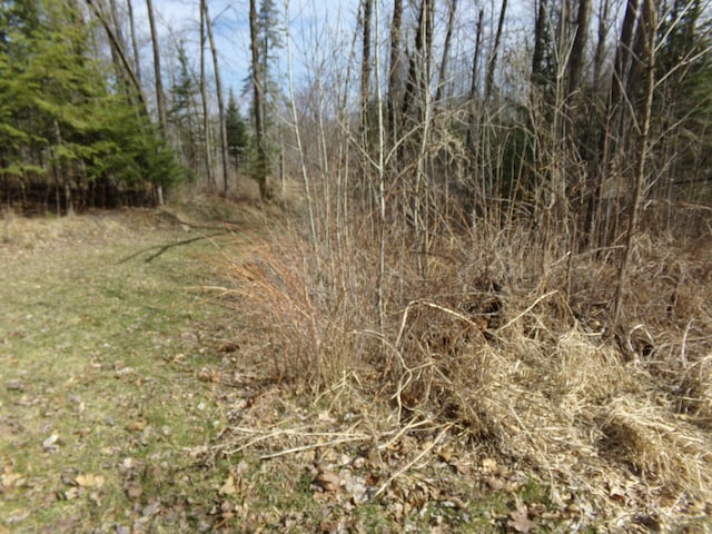 TBD Goshawk St, Mcgregor, MN 55760