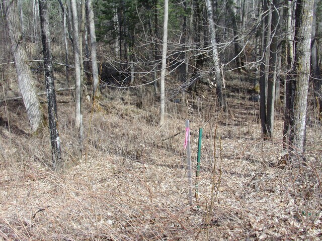 TBD Goshawk St, Mcgregor, MN 55760